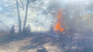 Manavgatta ormanlık alanda başlayan ikinci yangın söndürüldü