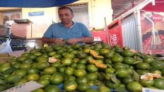 Mandalina Aydındaki semt pazarındaki tezgahlarda yerini aldı