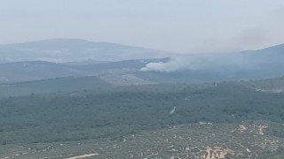 Manisada orman yangını