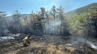 Marmariste çıkan orman yangını kısa sürede kontrol altına alındı