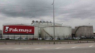 Maya kokusuna acil çözüm bekleniyor