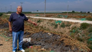 Mersin Büyükşehir Belediyesi, üreticilerin organik atık sorununu çözdü