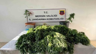 Mersinde uyuşturucu satıcılarına operasyon: 3 gözaltı