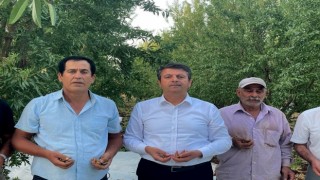 Milletvekili Tutdere, badem fiyatlarına tepki gösterdi