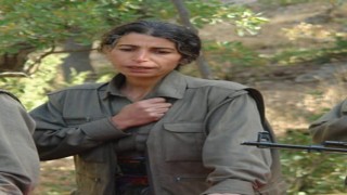 MİTten Suriyede nokta operasyon