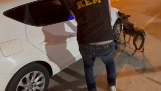 Narkotik köpekleri yerini gösterdi, zulalanmış uyuşturucular yakalandı