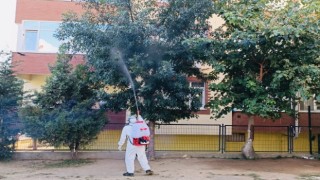 Okul bahçelerindeki ağaçlar ilaçlanıyor