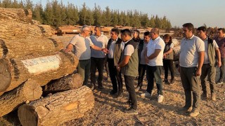 Orman Bölge Müdüründen Ormancılık Çalışmalarına Denetim