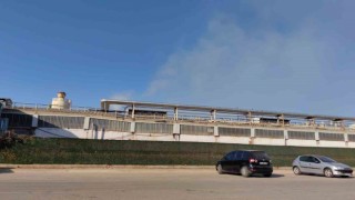 Orman ürünleri fabrikasında korkutan patlama: 1 yaralı