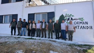 Orman yangın gözetleme kuleleri yenileniyor