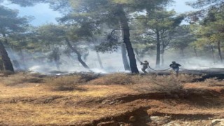 Ormanlık alandaki örtü yangını ekipler tarafından kontrol altına alındı