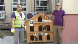 Osmaniye Belediyesi'nden sokak kedilerine özel yuvalar