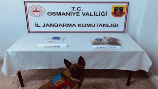 Osmaniye’de Jandarma ekipleri, uyuşturucuya geçit vermiyor