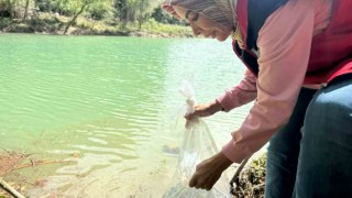 Osmaniyede Tahta Barajına 20 bin pullu sazan yavrusu bırakıldı