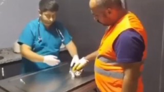 Osmaniye'de yıkılan binada yavru kedi kurtarıldı