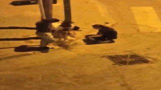 Otomobil çarpan kediye hemşireler dakikalarca kalp masajı yaptı