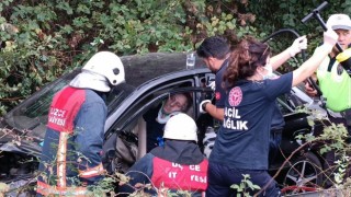 Otoyolda yoldan çıktı ağaçlık alana girdi