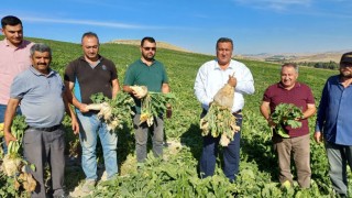 Pancar yetiştiricileri taban fiyatın açıklanmasını bekliyor