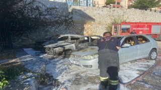 Park halindeki üç araç alevlere teslim oldu