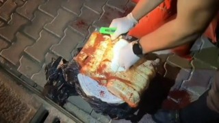 Polis ekipleri TEMde durdukları tırdan onlarca paket uyuşturucu ele geçirdi