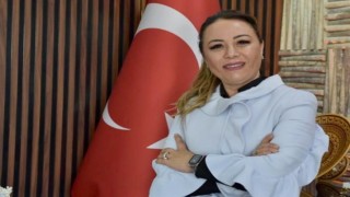 Prof.Dr. Karabulut: Şevketi bostan taş düşürmede birebir