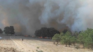 Rüzgar, ormandaki söndürme çalışmalarını zorlaştırıyor