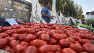 Salçalık domates ve biberler tezgahlarda