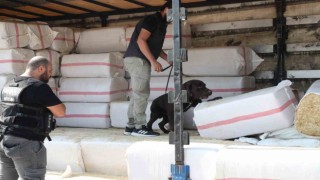 Saman balyalarının arasından 279 kilo uyuşturucu çıktı