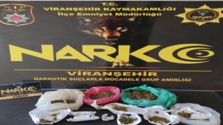 Şanlıurfada torbacılara operasyon: 8 gözaltı