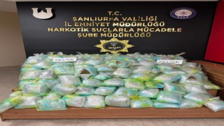 Şanlıurfada uyuşturucu operasyonu: 167 kilogram skunk ele geçirildi