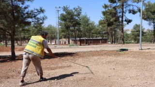 Şanlıurfada yeşil alanlar artıyor