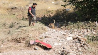 Selde kaybolan Asel bebek özel eğitimli köpekler ile aranıyor