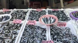 Sezonun ilk yerli hamsisi 100 TLden tezgahtaki yerini aldı