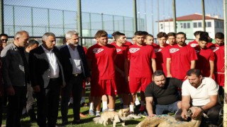 Sivas Dört Eylül Spor, sezonu kurban keserek açtı