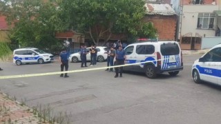 Sivasta karı kocanın kavak kesme kavgası İstanbulda dehşete dönüştü