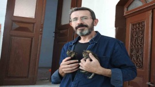 Sokak hayvanlarına 15 yıldır babalık yapıyor