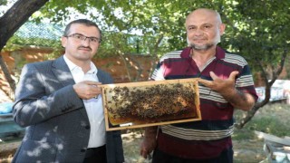 Sokmayan arılar Yozgatta lavanta balı üretimine başladı