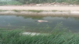Sulama kanalında kayboldu, 27 kilometre uzaklıkta cesedi bulundu