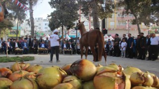 Suruçta “At ve Nar Festivali” renkli görüntülere sahne oldu
