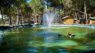Tabiat harikası Çarşamba Orman Park hayran bırakıyor