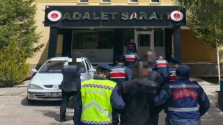 Tarihi eser kaçakçılığı yapan 38 şüpheli yakalandı