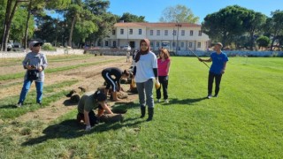 Tarım Meslek Lisesi öğrencileri tarlada üretiyor