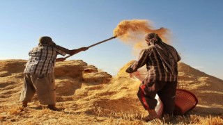 Tarımsal girdi fiyat endeksi yıllık yüzde 34,32, aylık yüzde 6,56 arttı