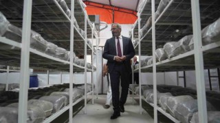 Tarsusta mantar üretim ile sebze ve meyve kurutma-paketleme tesisleri açıldı