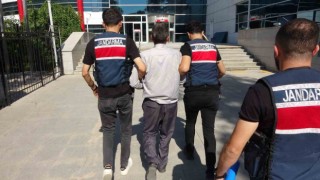 Terör operasyonunda 1 şahıs tutuklandı