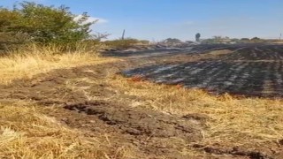 Trafodan çıkan kıvılcım otluk alanı tutuşturdu