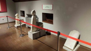 Tunceli Müzesi, Avrupanın en iyi ikinci müzesi ödülünü aldı