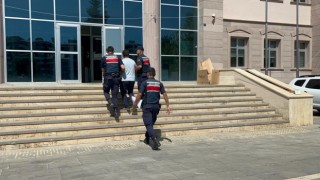 Türkoğlundaki orman yangınında bir kişi gözaltına alındı