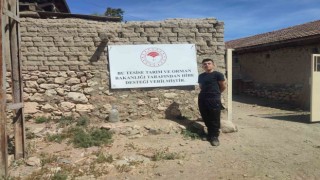 Uzman Eller Projesi çiftçisine hayvanları teslim edildi