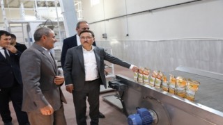 Vali Çiçek Tomarzada